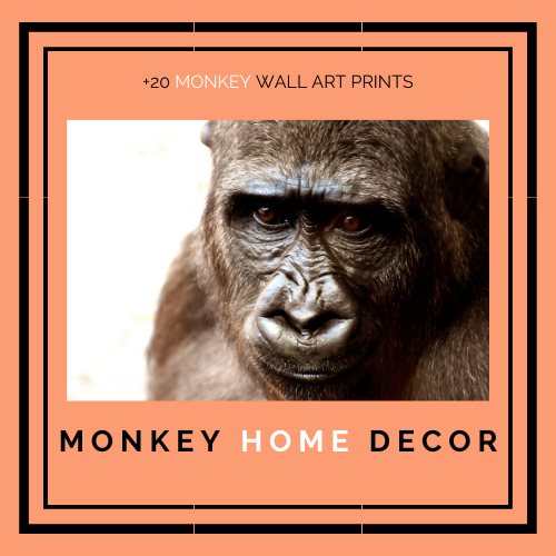 Monkey Wall Art: Poster and Canvas Prints